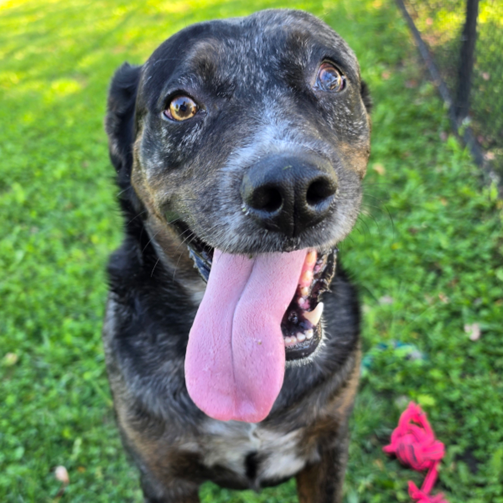 Louise -- Bonded Buddy With Thelma