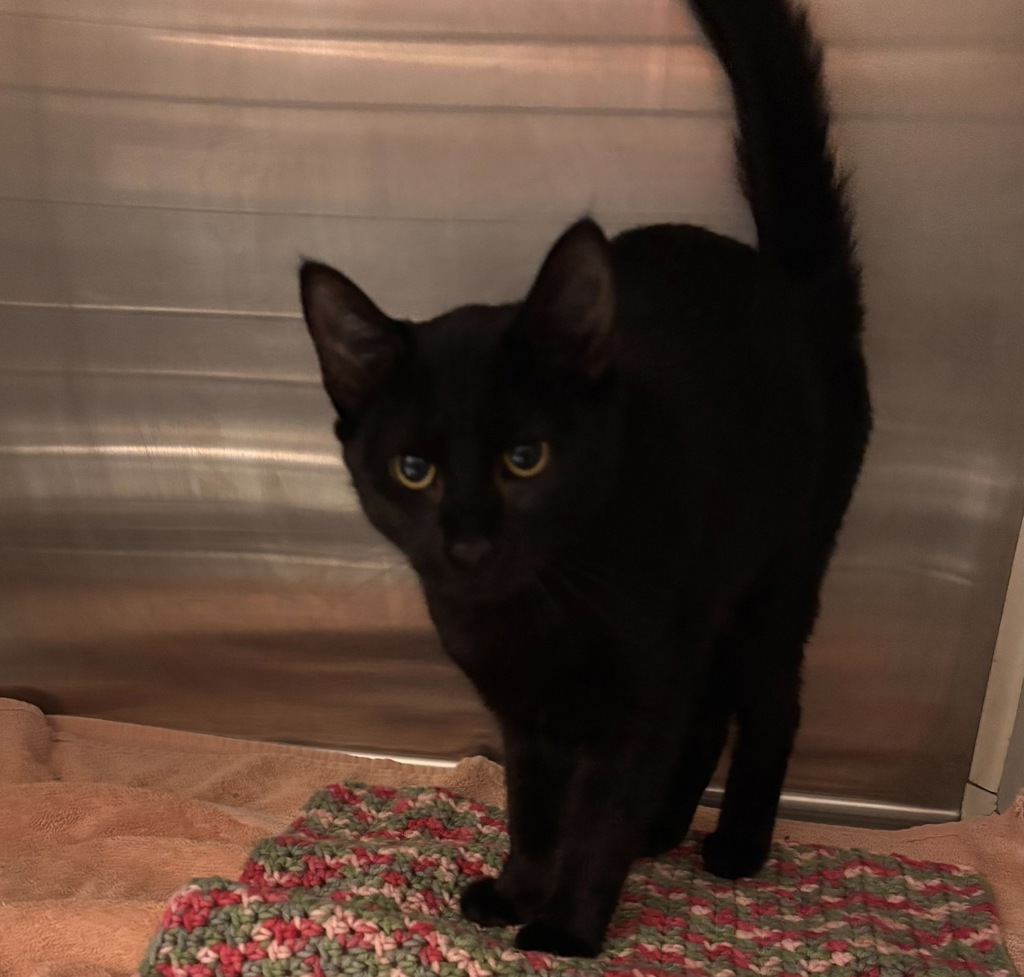 Luna