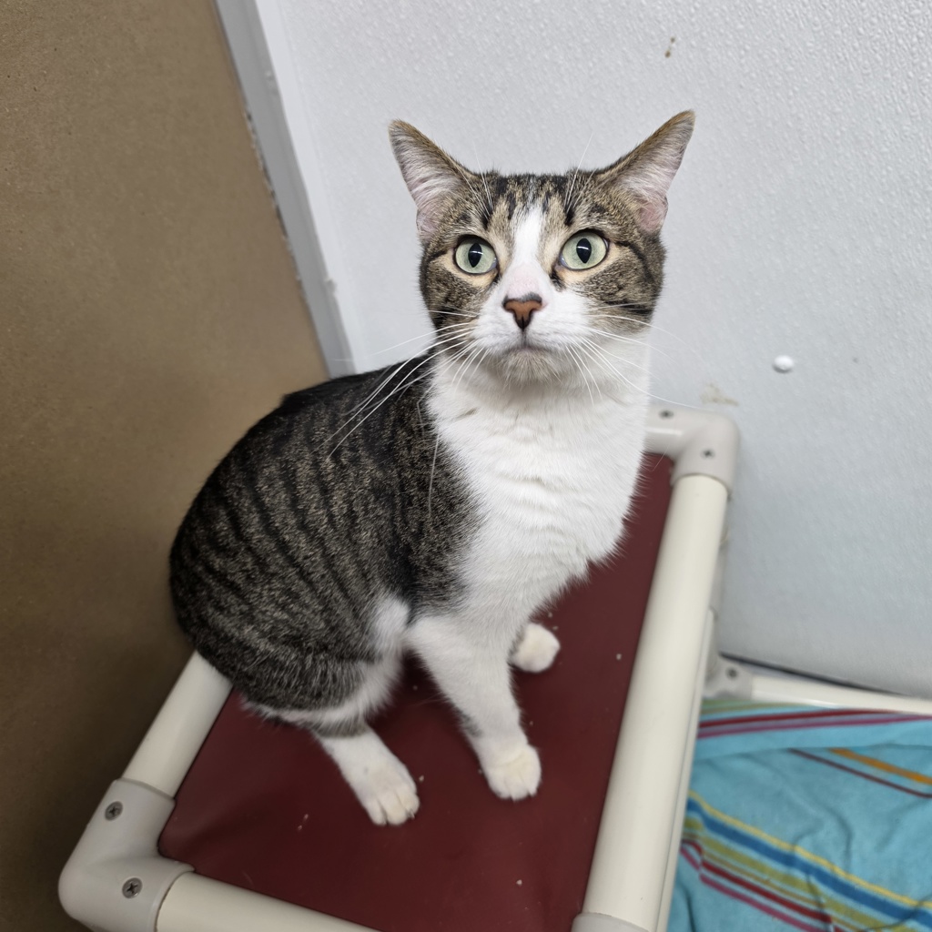 Mort -- Bonded Buddy With Maddie