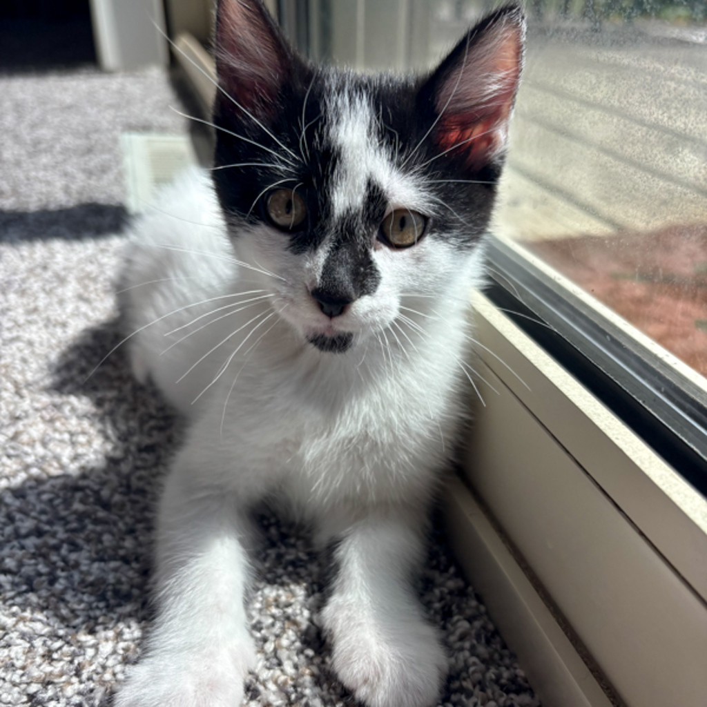 Murphy