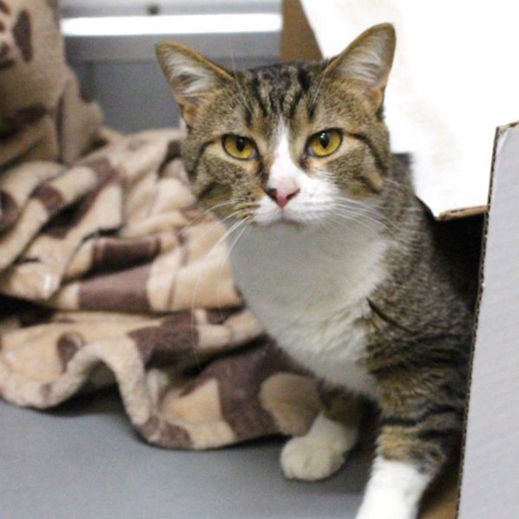 Teddy -- Bonded Buddy With Remy