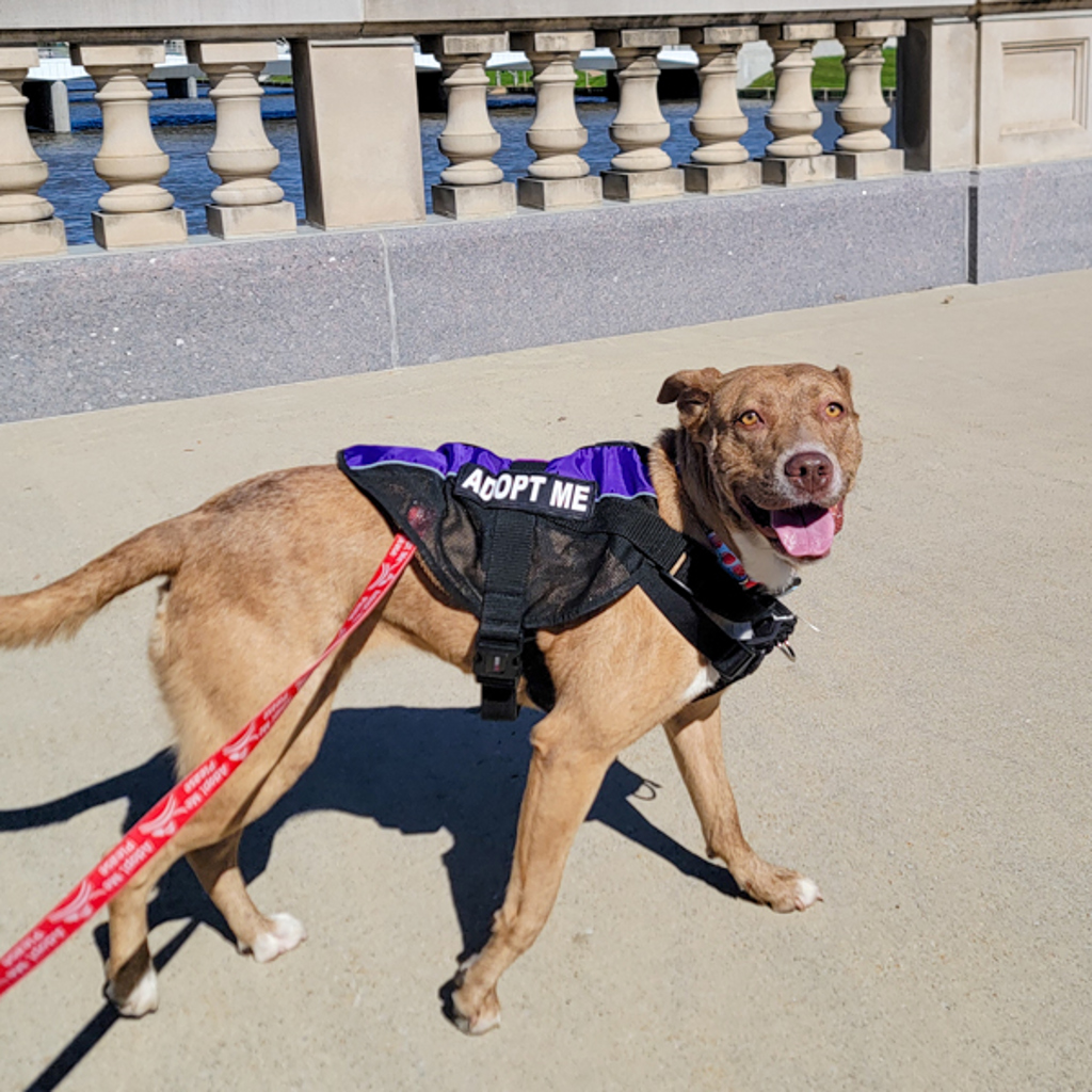 Thelma -- Bonded Buddy With Louise