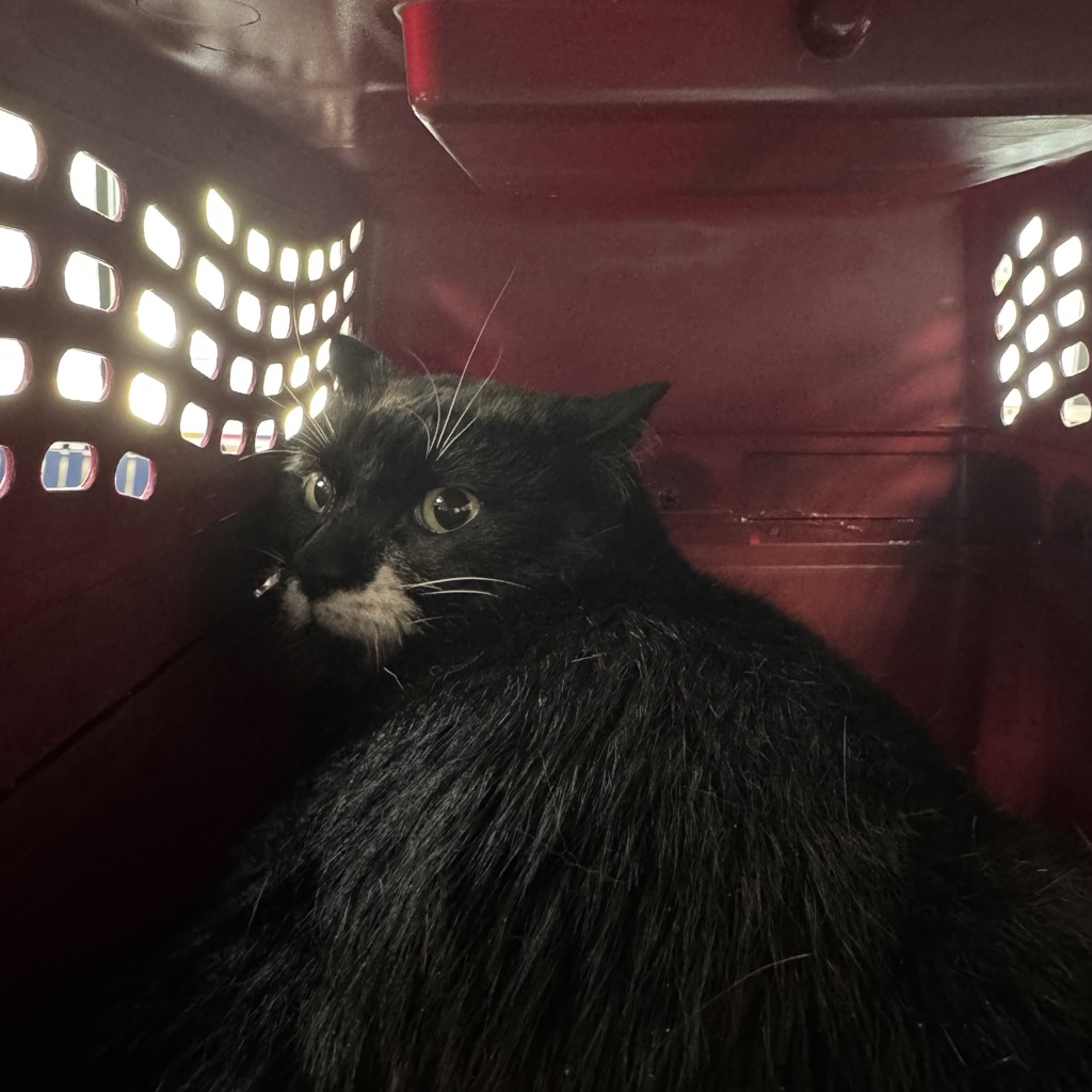 Tux