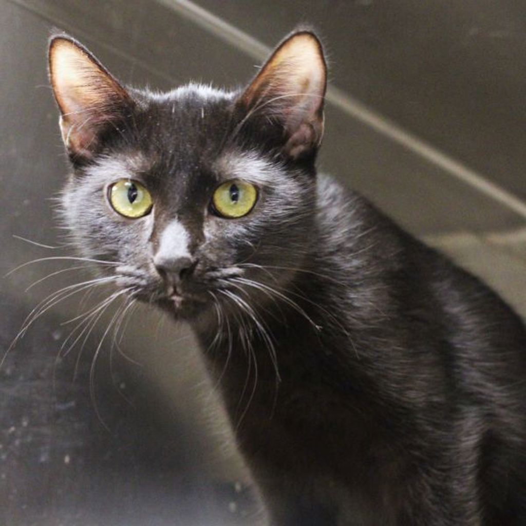 Wanda -- Bonded Buddy With Earl