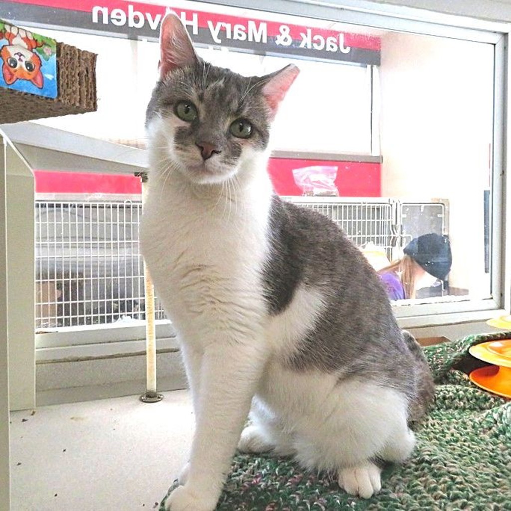 Willow -- Bonded Buddy With Jericho
