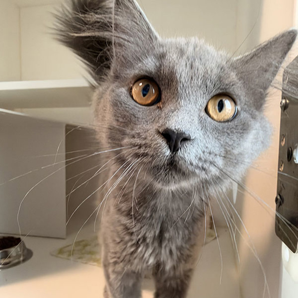 Winnie