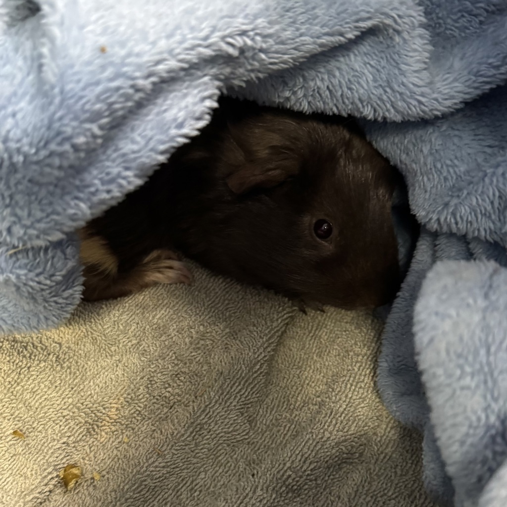 Winnie